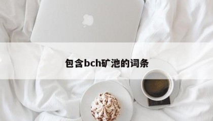 包含bch矿池的词条