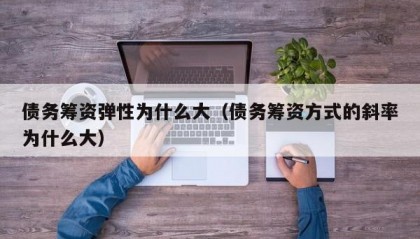 债务筹资弹性为什么大（债务筹资方式的斜率为什么大）