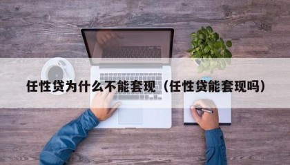 任性贷为什么不能套现（任性贷能套现吗）