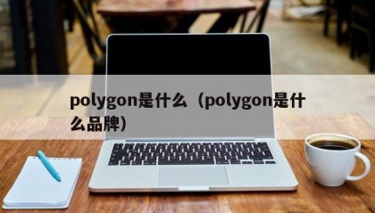 polygon是什么（polygon是什么品牌）
