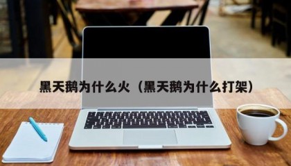 黑天鹅为什么火（黑天鹅为什么打架）