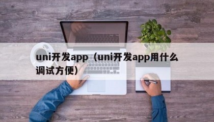 uni开发app（uni开发app用什么调试方便）
