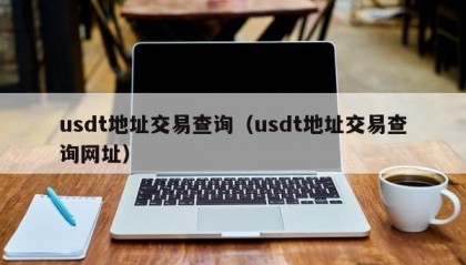usdt地址交易查询（usdt地址交易查询网址）
