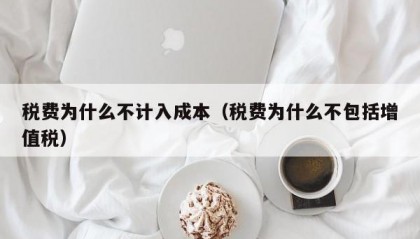 税费为什么不计入成本（税费为什么不包括增值税）