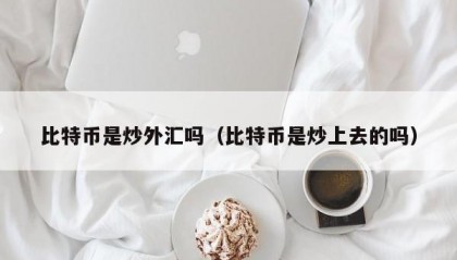 比特币是炒外汇吗（比特币是炒上去的吗）