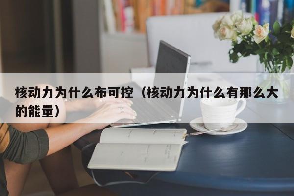 核动力为什么布可控(核动力为什么有那么大的能量)