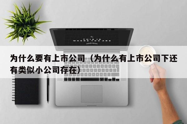为什么要有上市公司(为什么有上市公司下还有类似小公司存在)