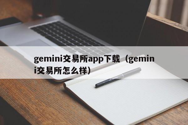gemini交易所app下载(gemini交易所怎么样)
