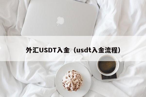 外汇USDT入金(usdt入金流程)