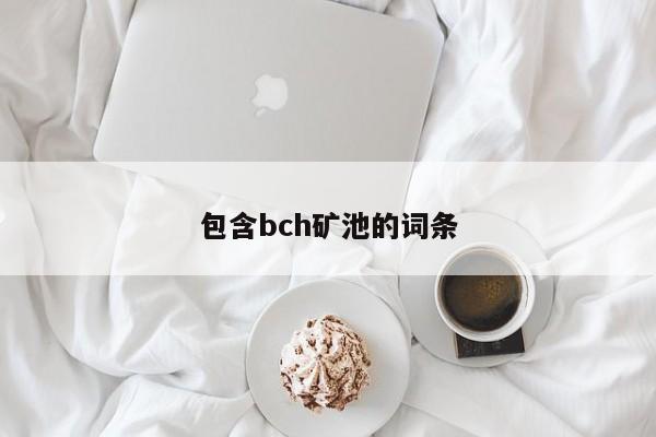 包含bch矿池的词条